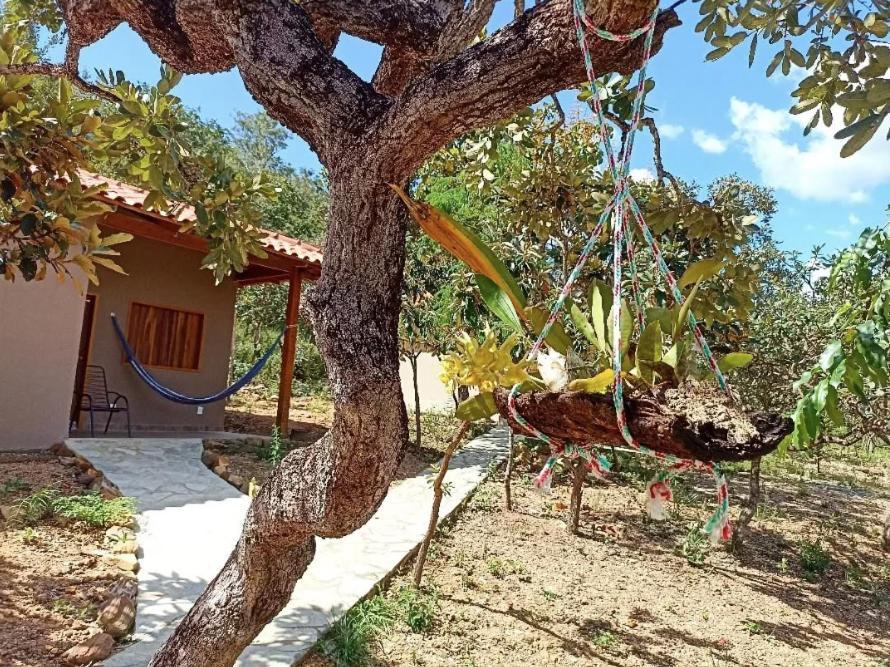 Chales Cerrado De Piri Pirenopolis Ngoại thất bức ảnh